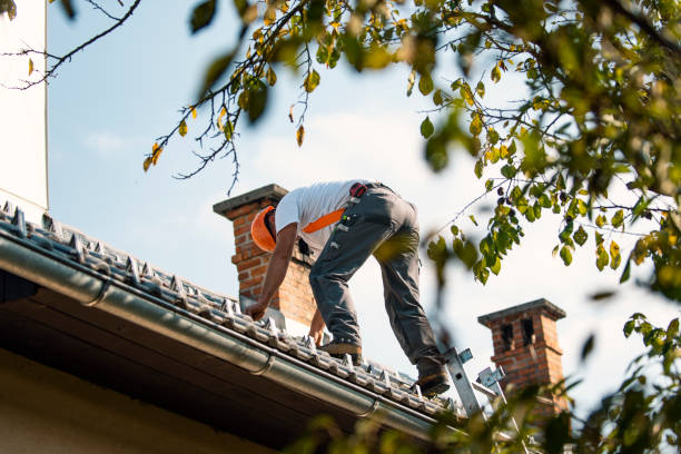 Best Chimney Flashing Repair  in Audubon Park, NJ