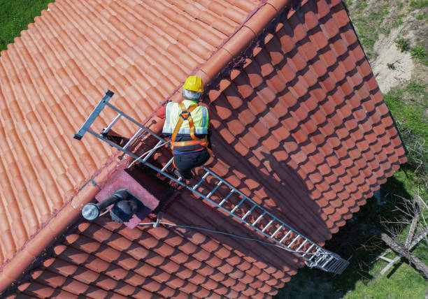 Best Asphalt Shingles Roofing  in Audubon Park, NJ